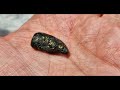 Meteorite Collection 2024 Pallasite Iron Stone Olivine Crystal Rik Marston