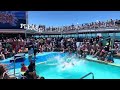 I entered a BELLY FLOP contest on the Cruise!