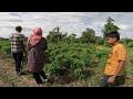 A tour of Parika Backdam in #guyana