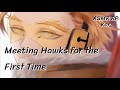 Meeting Hawks for the first time (Hawks x Listener) [ASMR RP]