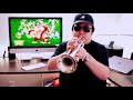 DK Island Swing / Jungle Theme (from Donkey Kong Country) | Purple Comet Orchestra