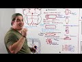 Subarachnoid Hemorrhage | Etiology, Pathophysiology, Clinical Features, Treatment, Complications