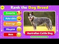 Dog Tier List 🐶 Rate the TOP 51 DOG BREEDS 🐕🐾