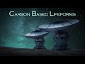 Savvas Kalt Mix Series #7  [Tribute Mix: Carbon Based Lifeforms]