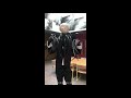 Chris Biagi Slenderman Halloween 2017