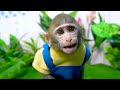 KiKi Monkey swimming at Ball Pit Pool with Inflatable & eat Honey Bear Jelly | KUDO ANIMAL KIKI