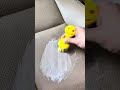 Car Seat Cleaning