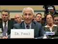 James Comer CONFRONTS Dr. Fauci for 'Trying to Protect' Peter Daszak