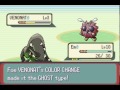 Emerald Randomizer Nuzlocke 2: computer quake