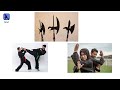 Every Martial Arts explained in 9 minutes - Part1