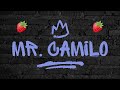 LA ESENCIA ~ 🙇🍓 (mr Camilo)