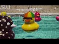 The QUACKS are BACK | Placid Plastic Duck Simulator - Episode 3
