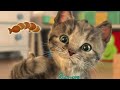 LEARNING LITTLE KITTEN ADVENTURE - CUTE LITTLE KITTEN AND SUPER FUN GAMES - CARTOON VIDEO FOR KIDS