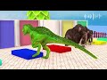 Long Slide Game With Elephant Gorilla Buffalo Hippopotamus Tiger - 3d Animal Game - Funny 3d Animals