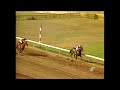 1984 Jamaica Derby- Thornbird ( Emilio Rodriguez).