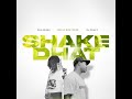 Shake Dhat ( INSTRUMENTAL)