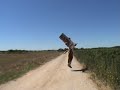 KANGAROO (REMI GAILLARD)