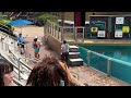 Tom The Famous Seaworld Mime | Tom the Mime