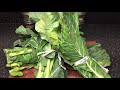 HOW TO COOK COLLARD GREENS