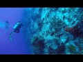 POV Diving - Parede Cedral - Cozumel - México