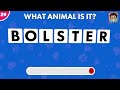 Guess the Animal by its Scrambled Name 🐵🐯🐶 | Scrambled Word Game - Animal Quiz