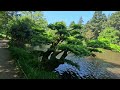 Le Parc Oriental de MAULEVRIER, plus grand jardin Japonais d'Europe, dans le Maine et Loire