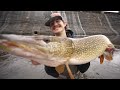 Shore Fishing GIANT LURES for HUGE MUSKY!