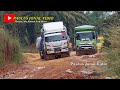 Offroad Trucks || Riau Truck Driver's Struggle to Get Through a Mud Puddle Until Almost Turns Over