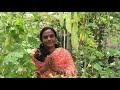 മഴക്കാലത്തും ഇഷ്ടം പോലെ  പാവയ്ക്കാ !! Bitter gourd cultivation on terrace.