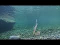 20 Minutes Underwater In A Small Stream In Montana