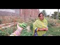 ami ny bhindi tor li ajj || بھنڈی، کدو ،کریلے،گھیاتوری، بینگن || #youtubevideo #bhindisabji