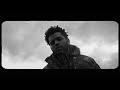 The Weeknd - The Birds - Part 2 (Music Video)