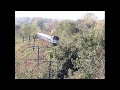 AMT, CN, CP & VIA trains at Beaconsfield QC 2 October 2007