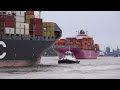 55 MINUTES OF RELAXING 4K SHIPSPOTTING AT PORT OF HAMBURG WITH ULTRA LARGE CONTAINER SHIP ANE MAERSK