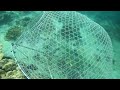 صيد مسندم Fish Trap - Musandam