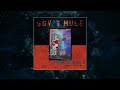 Gov't Mule - Hiding Place (Visualizer Video)