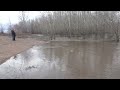 Весеннее Половодье - Spring Flood @ArinaMiroshina