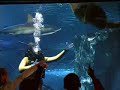 Newport Aquarium: So much to see and do!