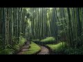 Healing Rain Sounds For Sleeping, Relaxing White Noise For Insomnia, ASMR Bamboo Wilderness