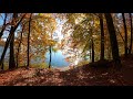 Autumn Freedom is in Nature Drone 4K Gdansk II Jesień Gdańsk Otomin Dron 4K