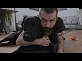 Dog Entertainment at Home | // 2 Min Vlog //