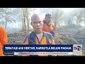 Kebakaran Lahan di Kubu Raya Belum Bisa Dipadamkan | Beritasatu