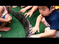 Meet Japan's 'Mr. Gator' and his pet alligator