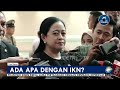 Top Review - Kepala & Wakil Kepala Otorita IKN Mundur, Ada Apa Dengan IKN?