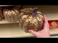 🍁2023 FALL DECOR AT HOBBY LOBBY! | FALL DECOR HOBBY LOBBY 2023 SHOP WITH ME