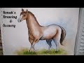 How to draw Horse with watercolour step by step।। Horse drawing for beginners @ronaksdrawing