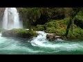 Beautiful Nature River flowing in Canada 4k  Relaxing River Sounds, Nature White Noise for Sleeping