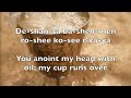 Psalm 23 Lyric Video in Hebrew: Mizmor L'David