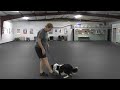 Weaning Off Heeling Lures - Watch POE Grow - The life and Training of a Competition Puppy