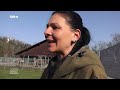 Die Gnadenhof Doku: Vom Schwein und Pferd bis hin zu ehrenamtlichen Helfern auf dem Argenhof